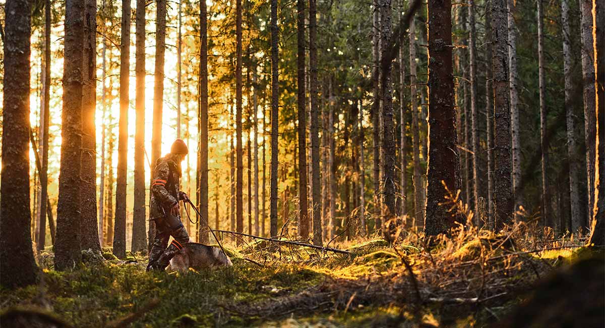 Ethics & Sustainability in Outdoor Gear - What Matters in 2026