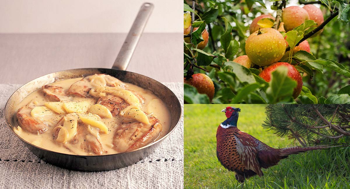 Highland Pheasant with Apples