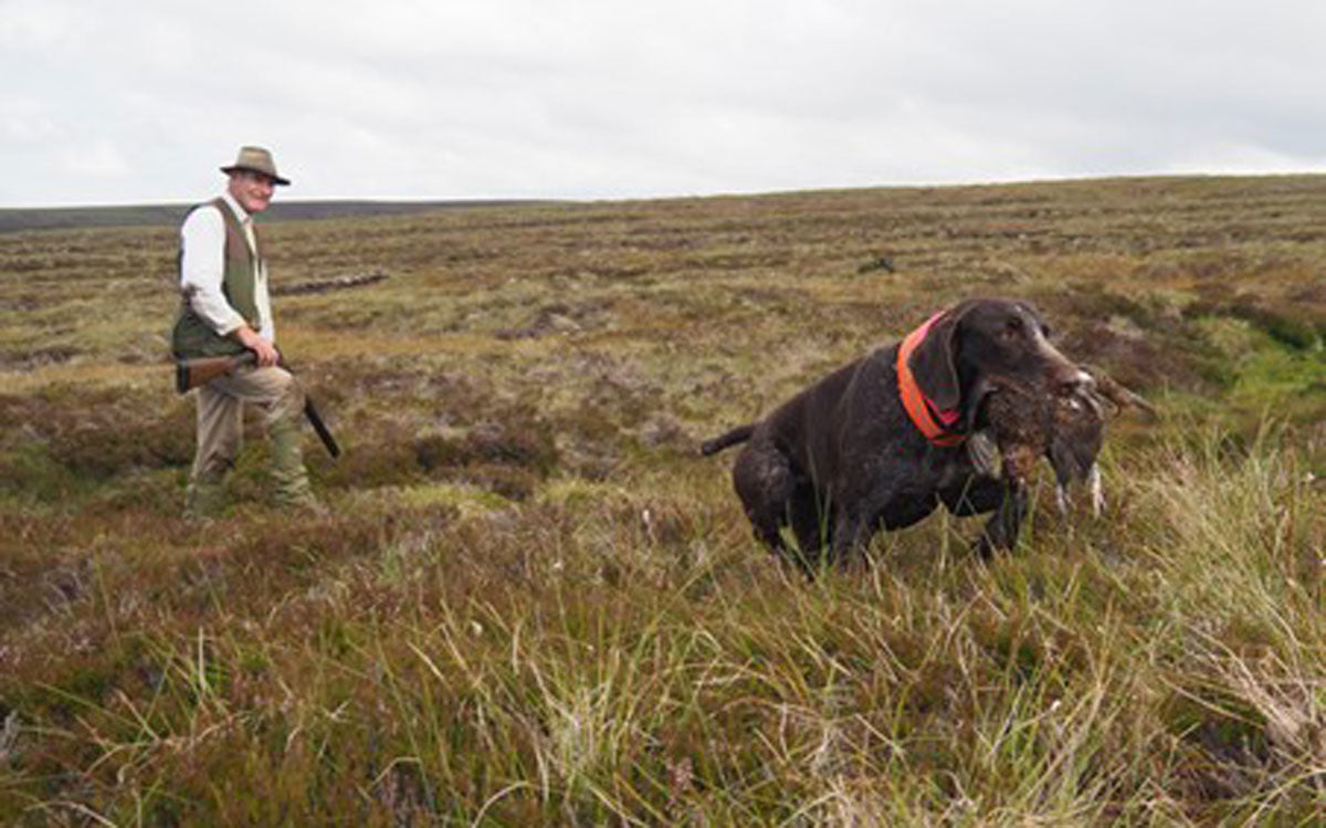 The emotional roller coaster of dog ownership