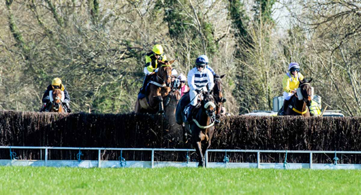 What to wear to Cheltenham Races | ArdMoor