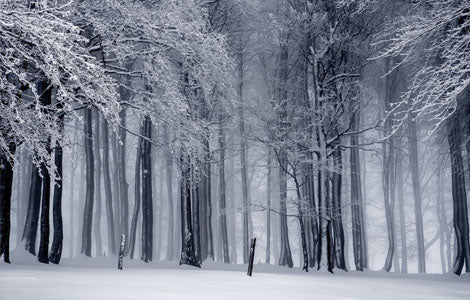 Winter Clothing & Footwear