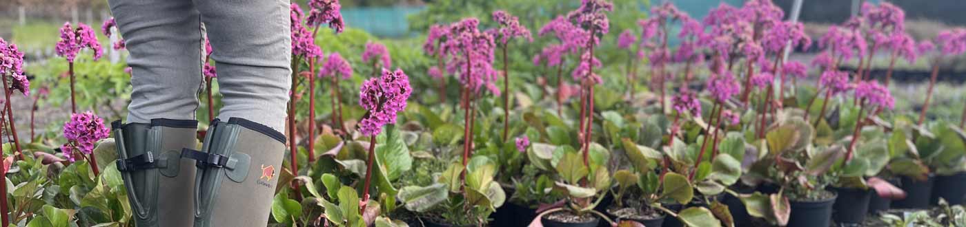 Gardening Clothes for Womens, Womens Gardening Trousers, Womens Gardening Jackets and Womens Garden Shoes and Wellingtons