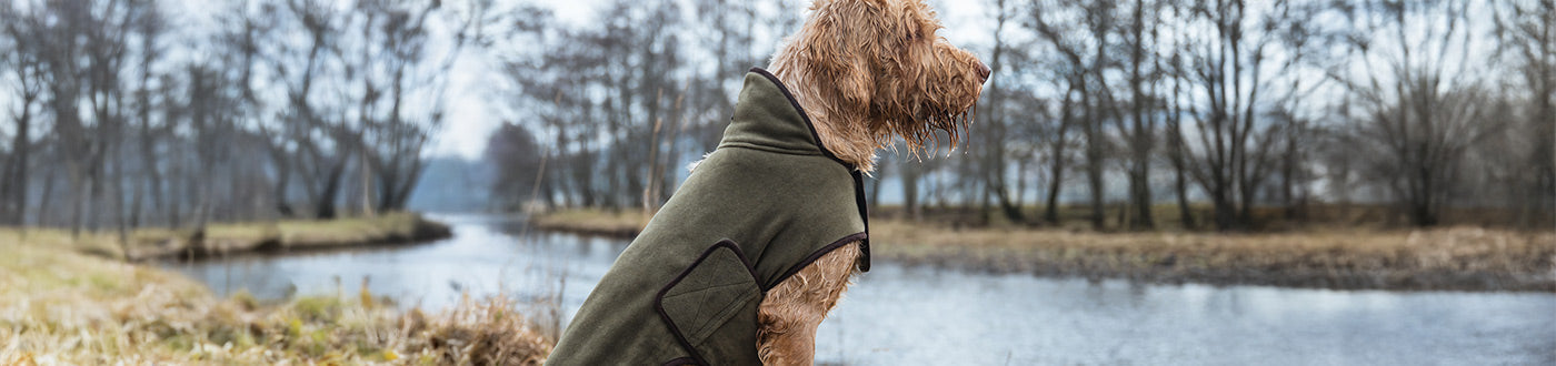 Dog Coats & Clothing For Comfort, Safety & Visibility | ArdMoor