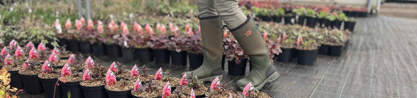 Gardening footwear, gardening wellingtons, gardening shoes and gardening wellies for men and women