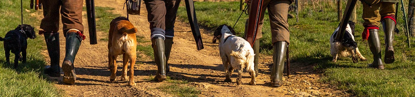 Shop Aigle Wellington boots made in France from natural rubber. Neoprene-lined, waterproof wellies for everyday outdoor wear
