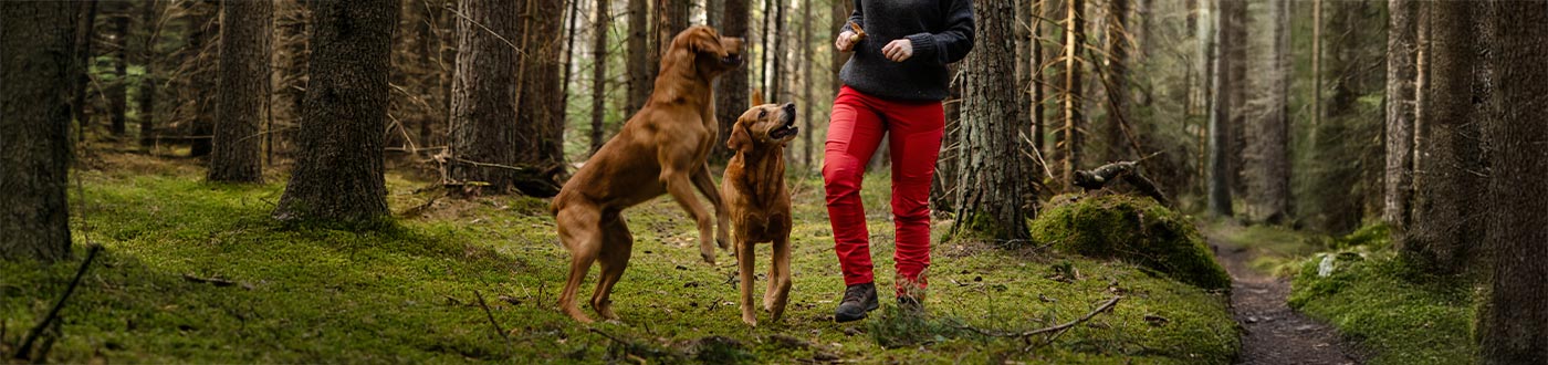 Durable dog walking trousers in easy-clean fabric built for all weather conditions