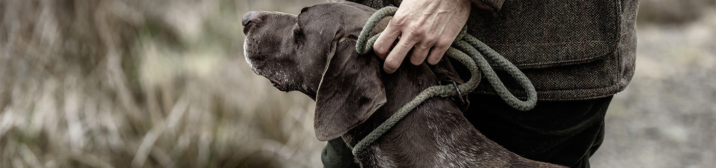 Dog Leads & Harnesses | ArdMoor