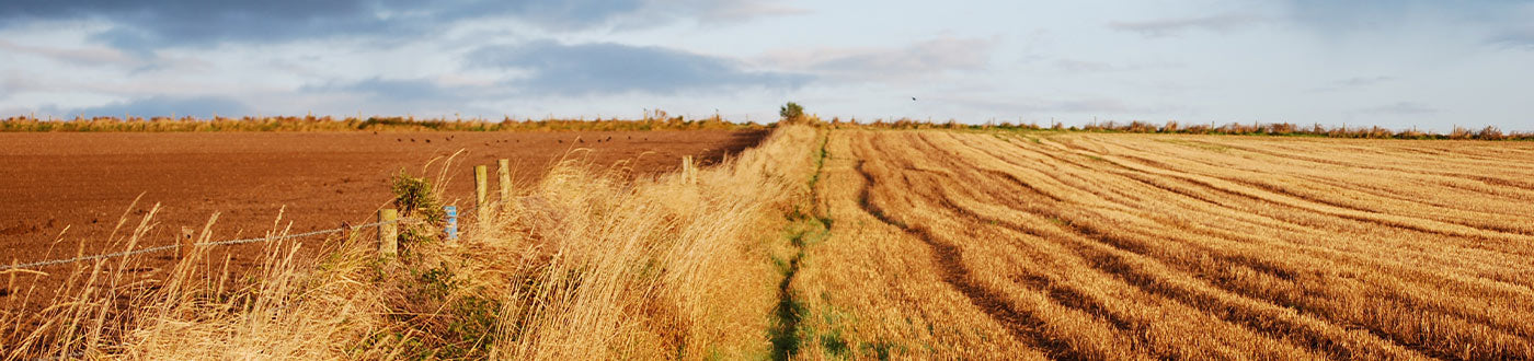 Pest Control, durable nets for humane catch-and-release, rabbit snares & professionally designed Larsen traps