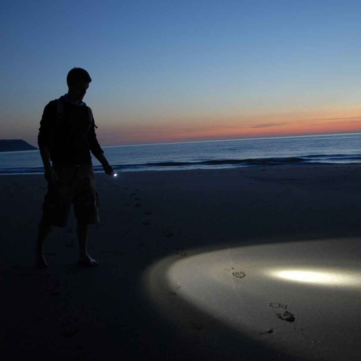 Lifesystems Intensity 480 Hand Torch Lifesystems Intensity 480 Hand Torch