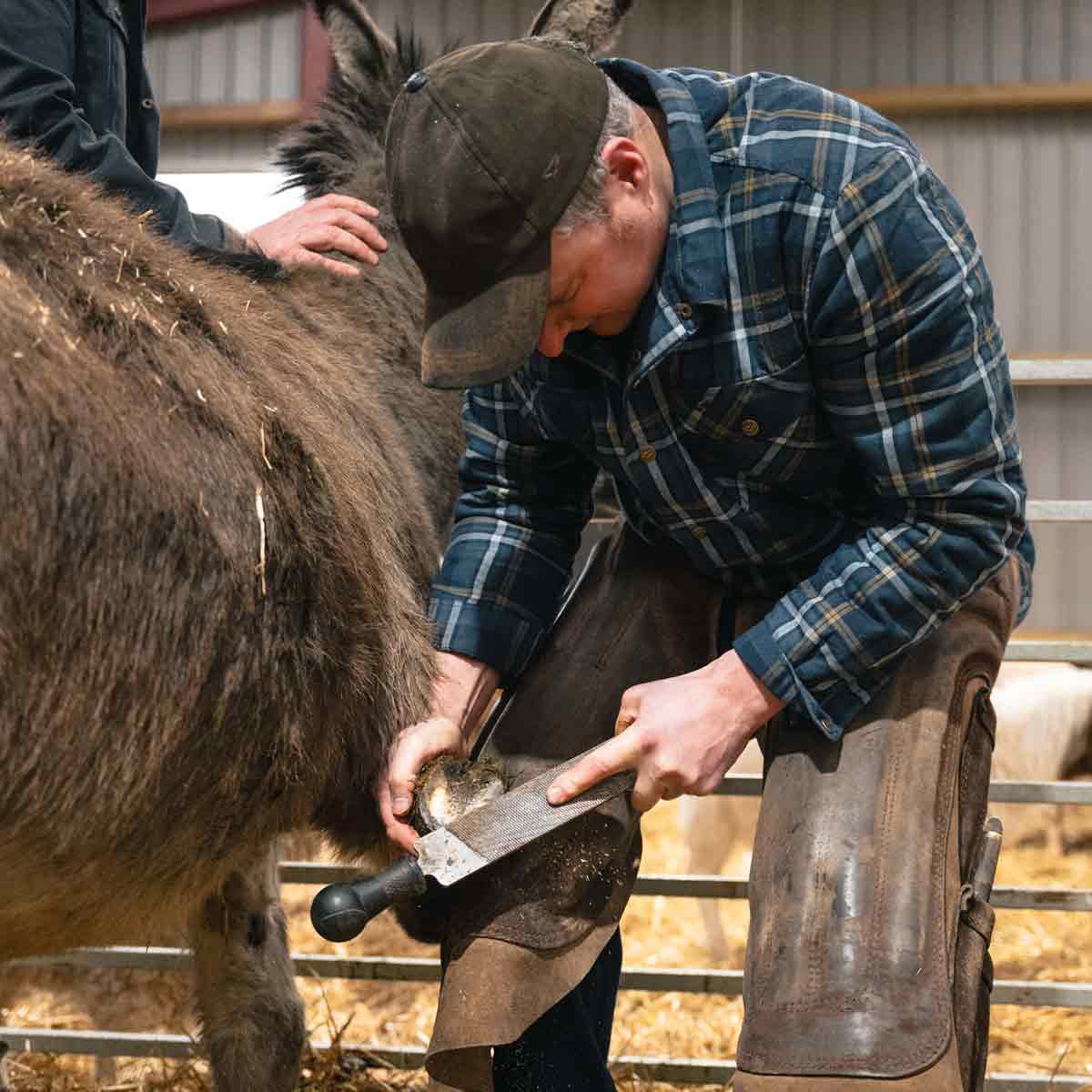 Hoggs of Fife Brunton Sherpa Lined Shacket - Model Hoggs of Fife Brunton Sherpa Lined Shacket - Model