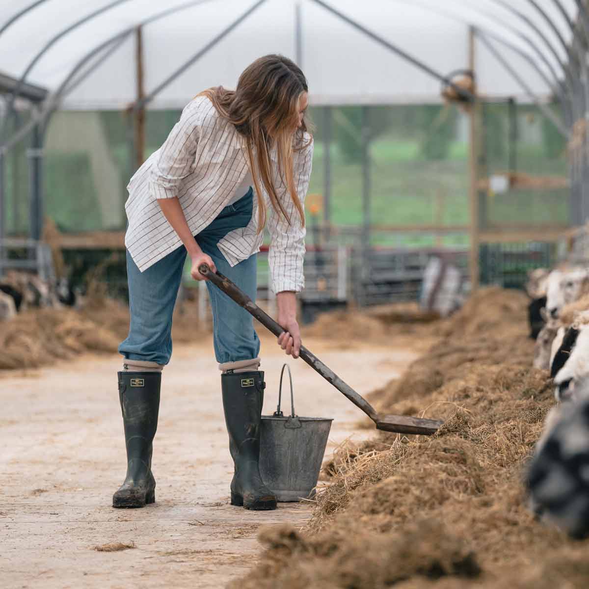 Hoggs of Fife Field Sport 365 Wellington Boots - Model Hoggs of Fife Field Sport 365 Wellington Boots - Model