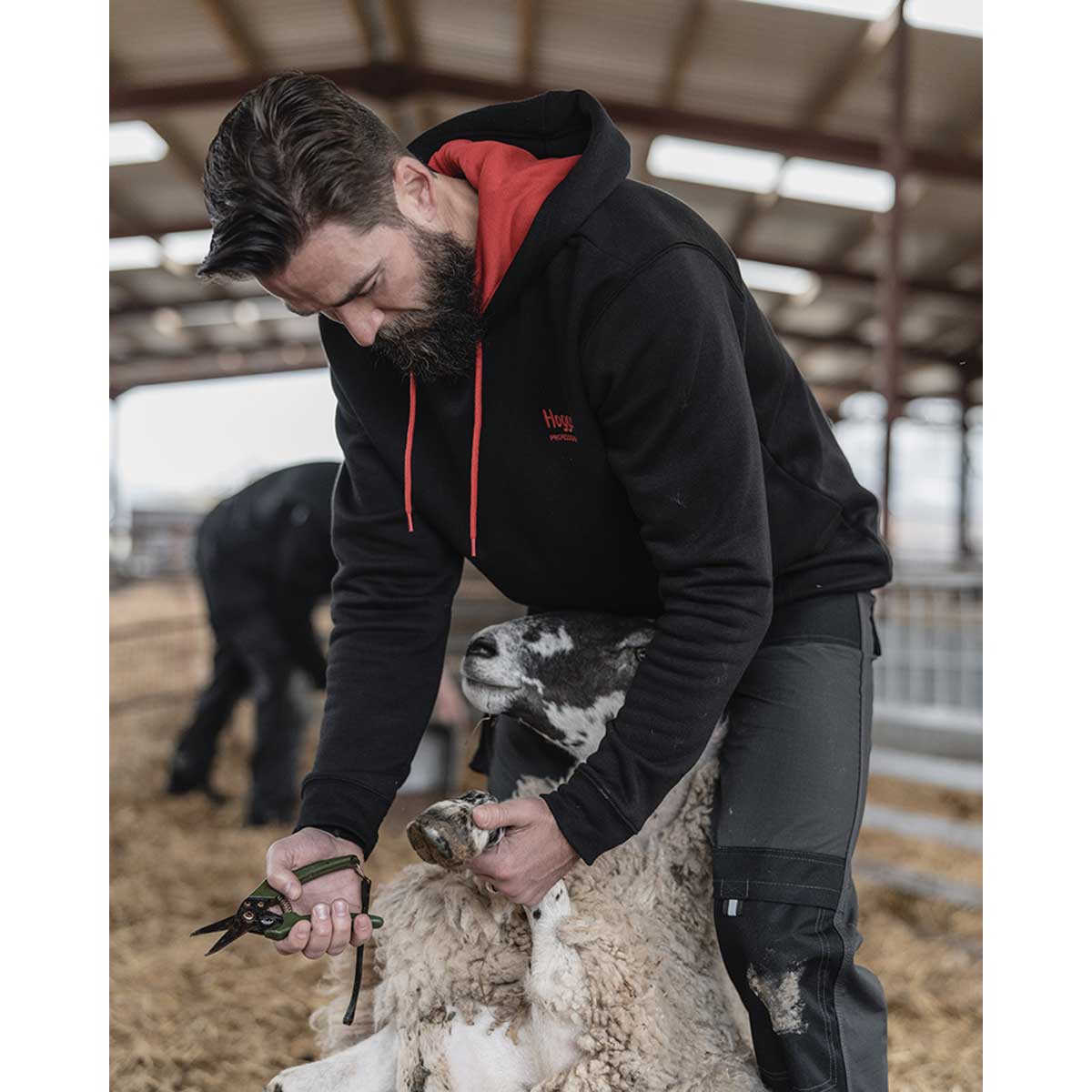 Hoggs of Fife Hoggs Professional Hoodie - lifestyle Hoggs of Fife Hoggs Professional Hoodie - lifestyle