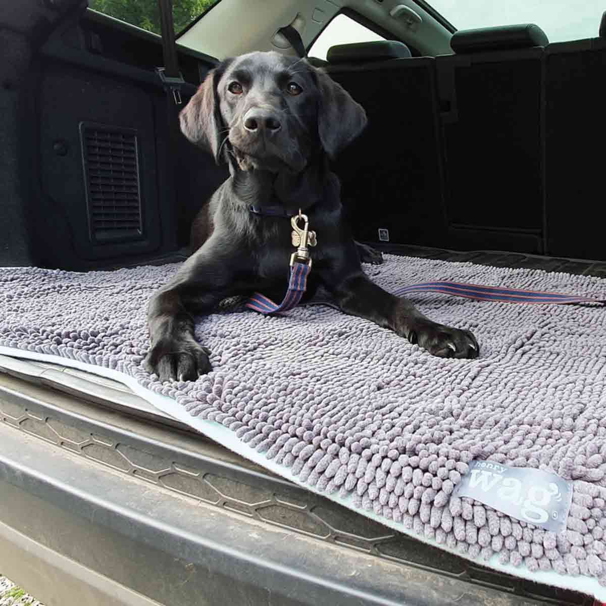 Henry Wag Microfibre Noodle Pet Mat Henry Wag Microfibre Noodle Pet Mat