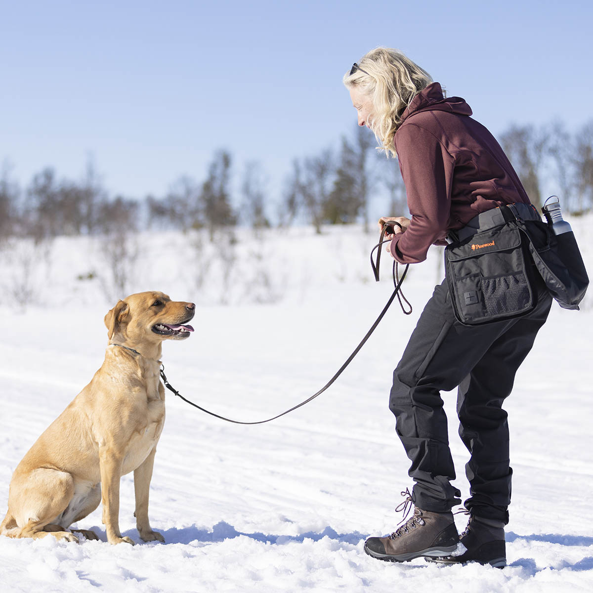 Pinewood Dog Sports Womens Wilda Stretch Shell Trousers- Black- lifestyle Pinewood Dog Sports Womens Wilda Stretch Shell Trousers- Black- lifestyle