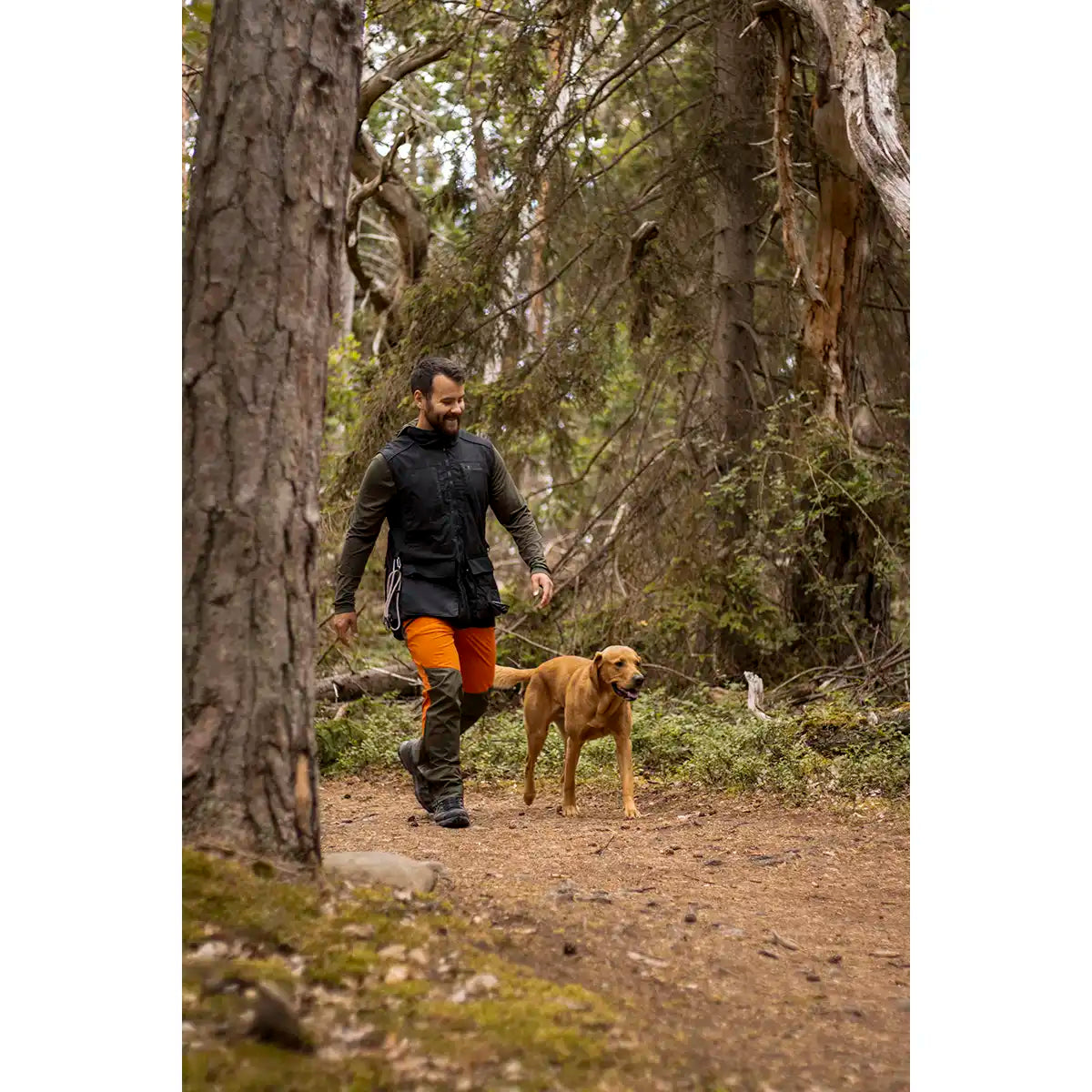 Pinewood Dog Sports Trainer Vest- Black- dog handling Pinewood Dog Sports Trainer Vest- Black- dog handling