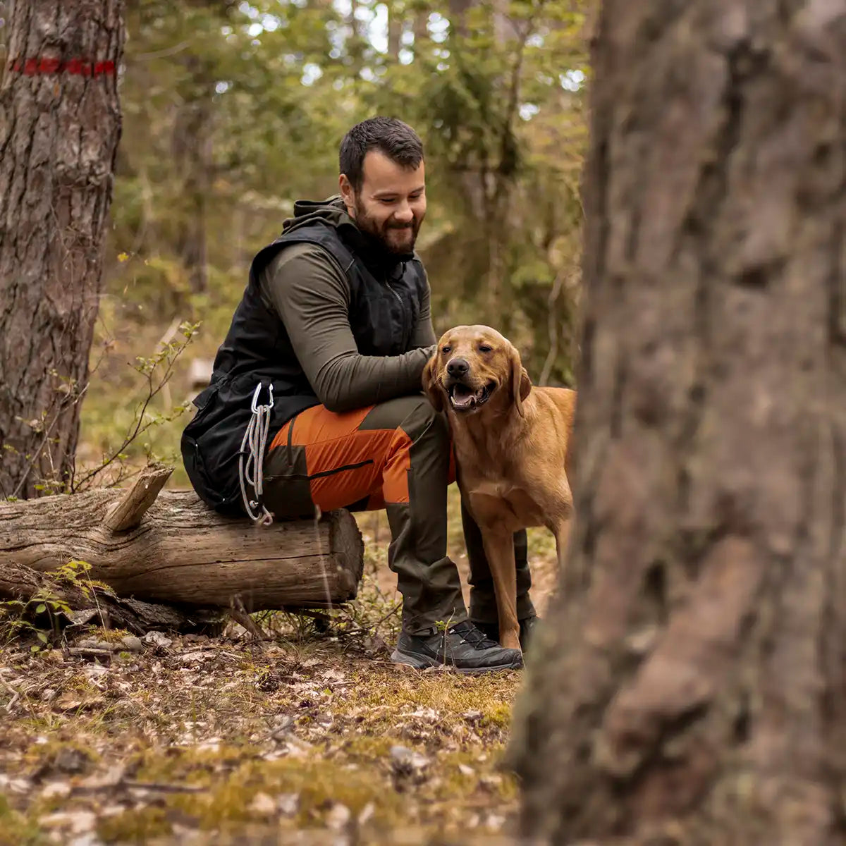Pinewood Dog Sports Trainer Vest- Black- lifestyle detail Pinewood Dog Sports Trainer Vest- Black- lifestyle detail