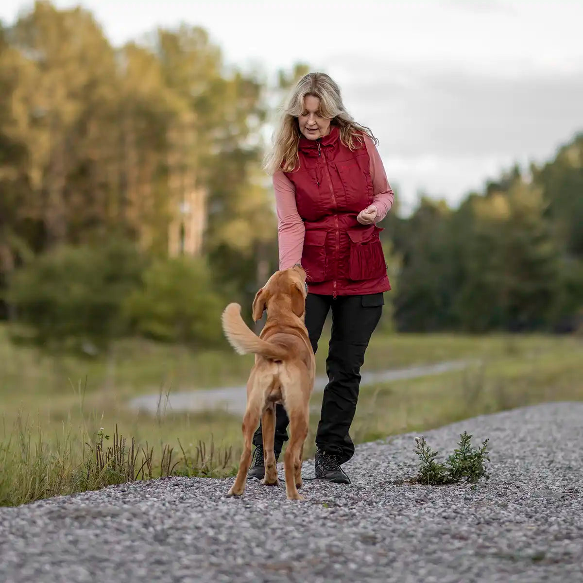 Pinewood Dog Sports Womens Trainer Vest- Dark Tomato/Dark Red- lifestyle front view Pinewood Dog Sports Womens Trainer Vest- Dark Tomato/Dark Red- lifestyle front view