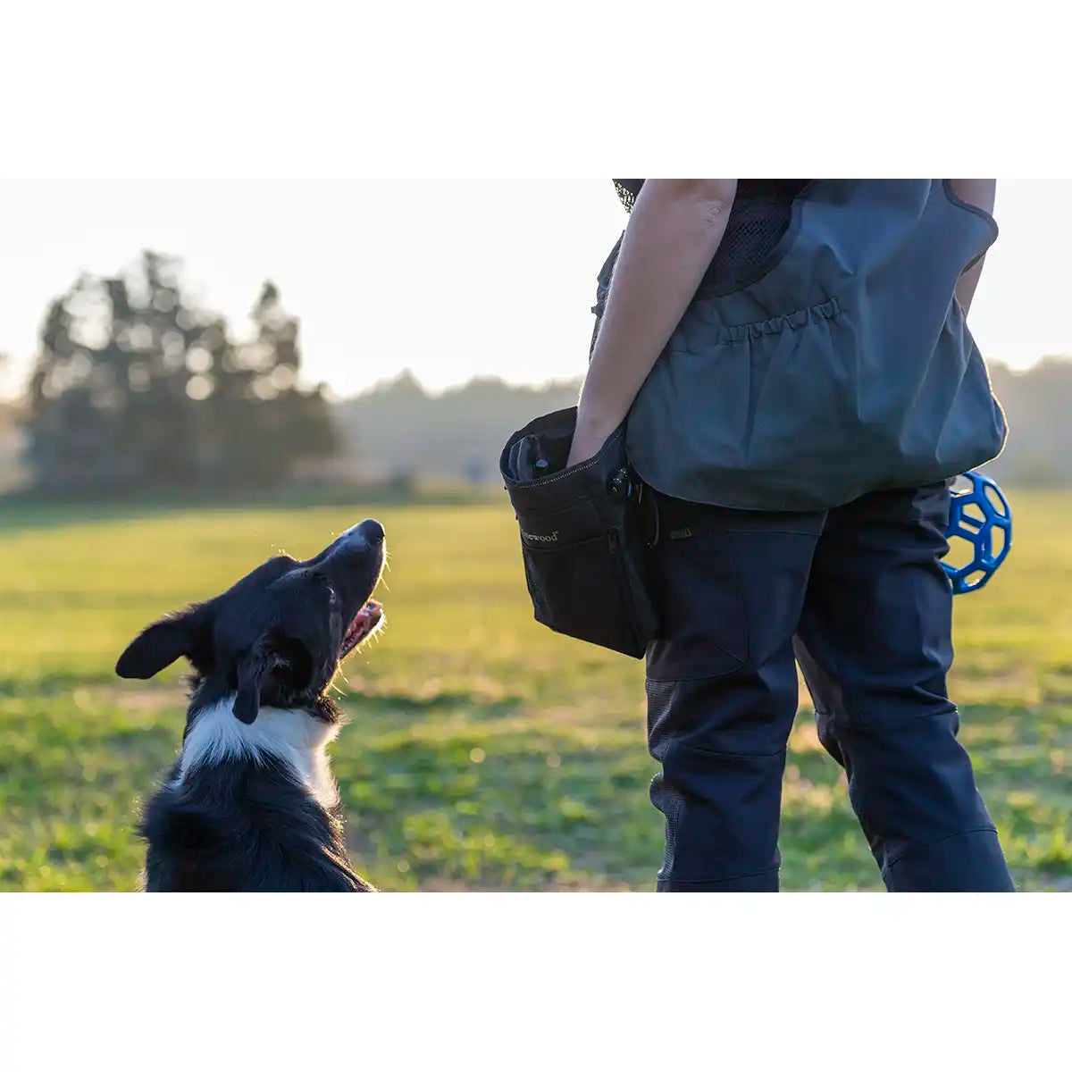 Pinewood Dog Sports Bag- dog training Pinewood Dog Sports Bag- dog training