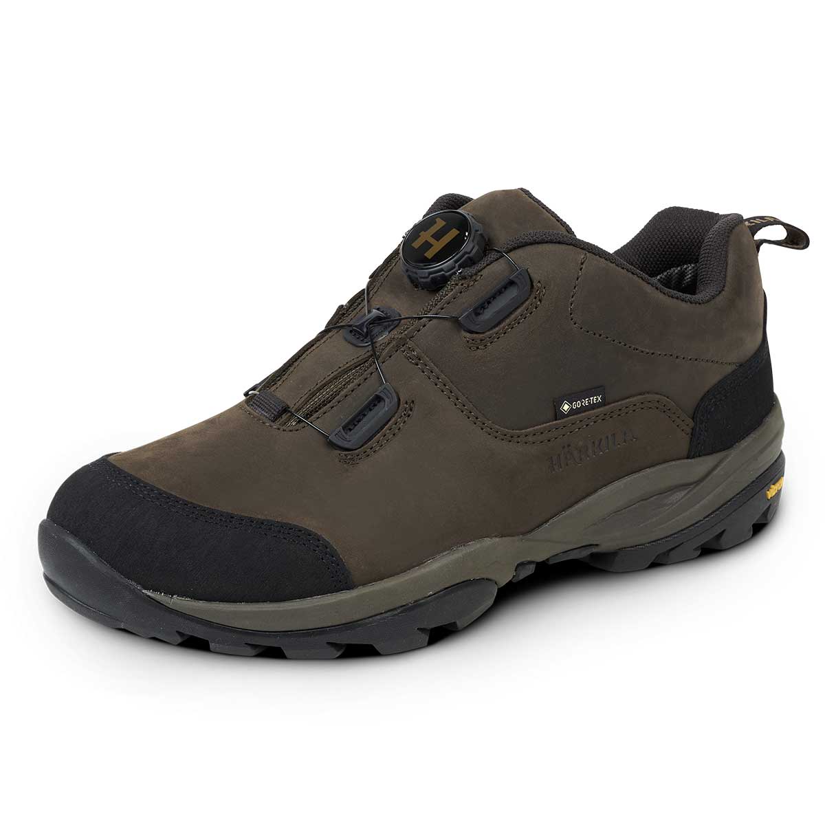 Reidmar Low GTX Boots Reidmar Low GTX Boots