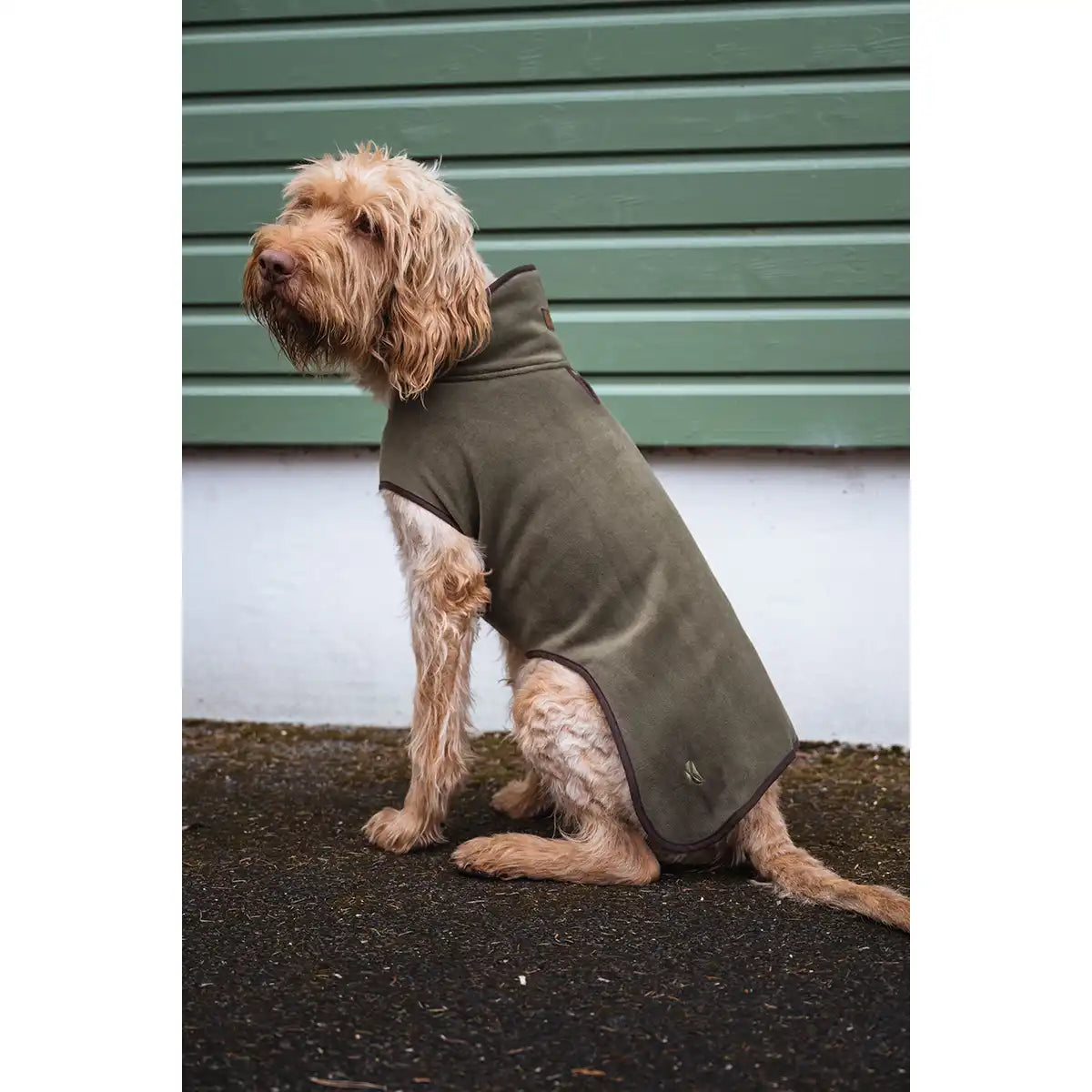 Hoggs of Fife Stenton Fleece Dog Coat - Lovat - Worn By Model Hoggs of Fife Stenton Fleece Dog Coat - Lovat - Worn By Model