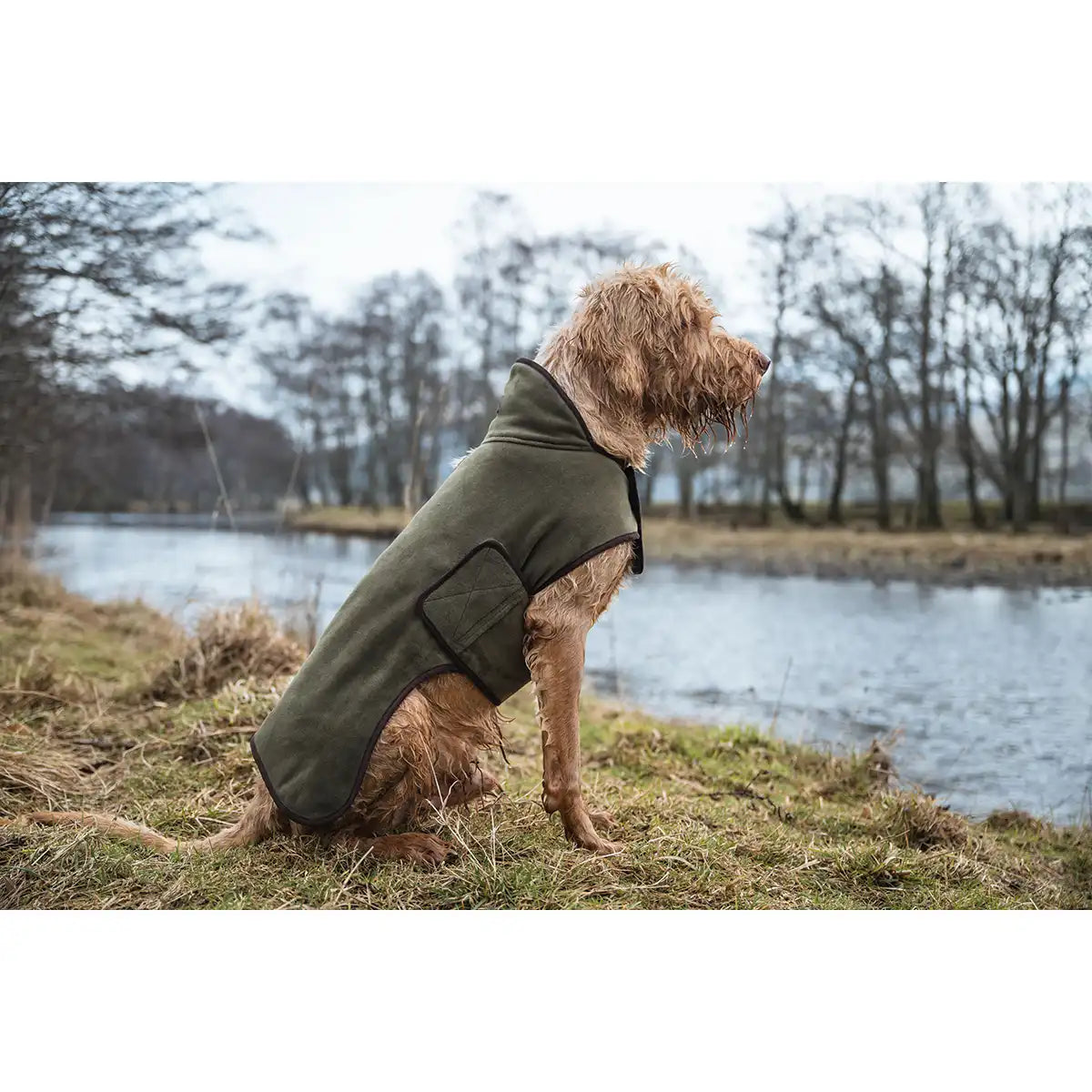 Hoggs of Fife Stenton Fleece Dog Coat - Lovat- Worn by Model Hoggs of Fife Stenton Fleece Dog Coat - Lovat- Worn by Model