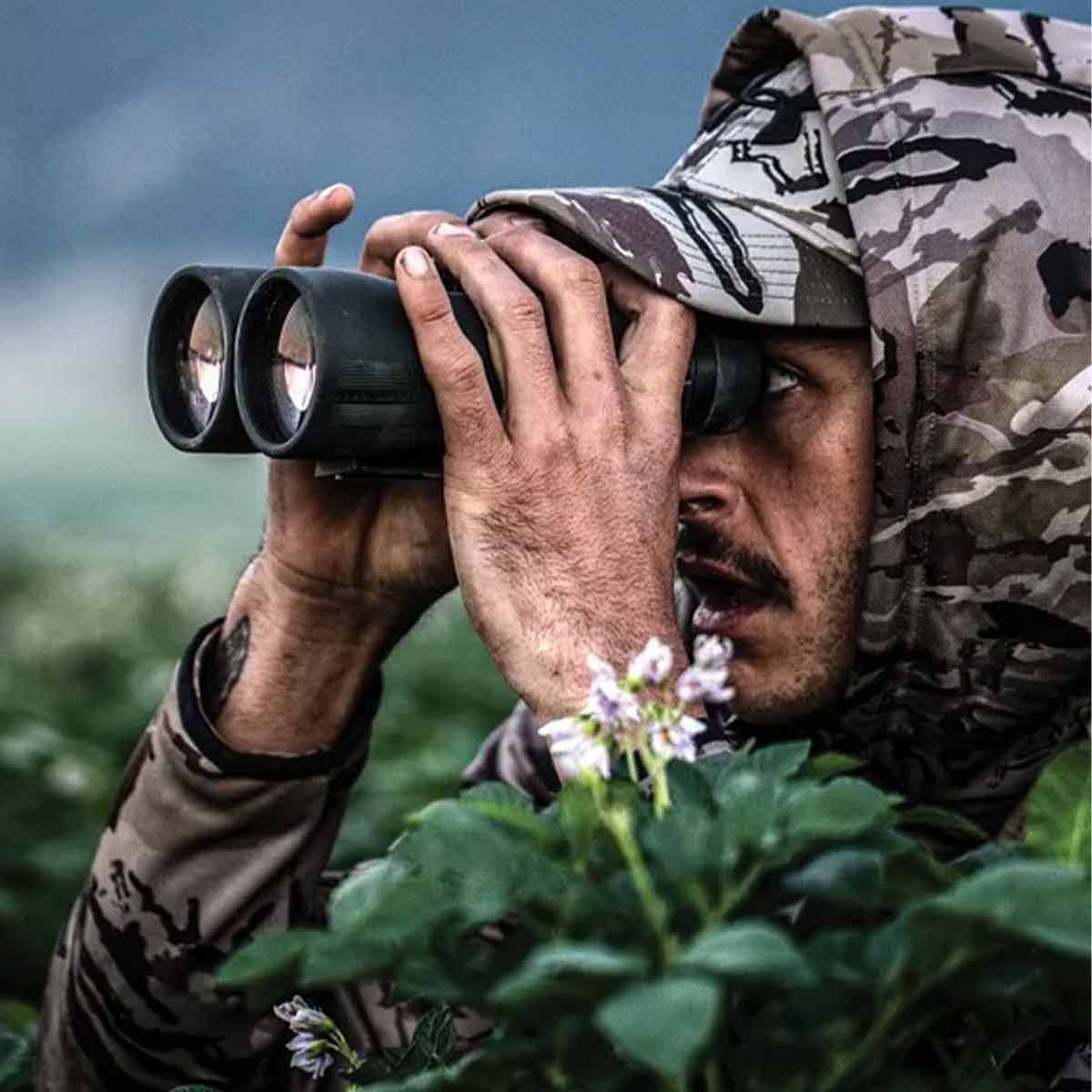 Vortex Diamondback Binoculars - Model Vortex Diamondback Binoculars - Model