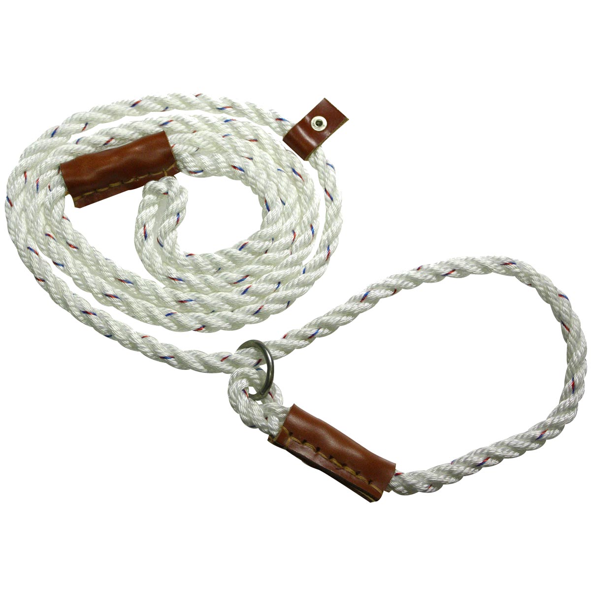 Bisley Field Trial Lead Bisley Field Trial Lead