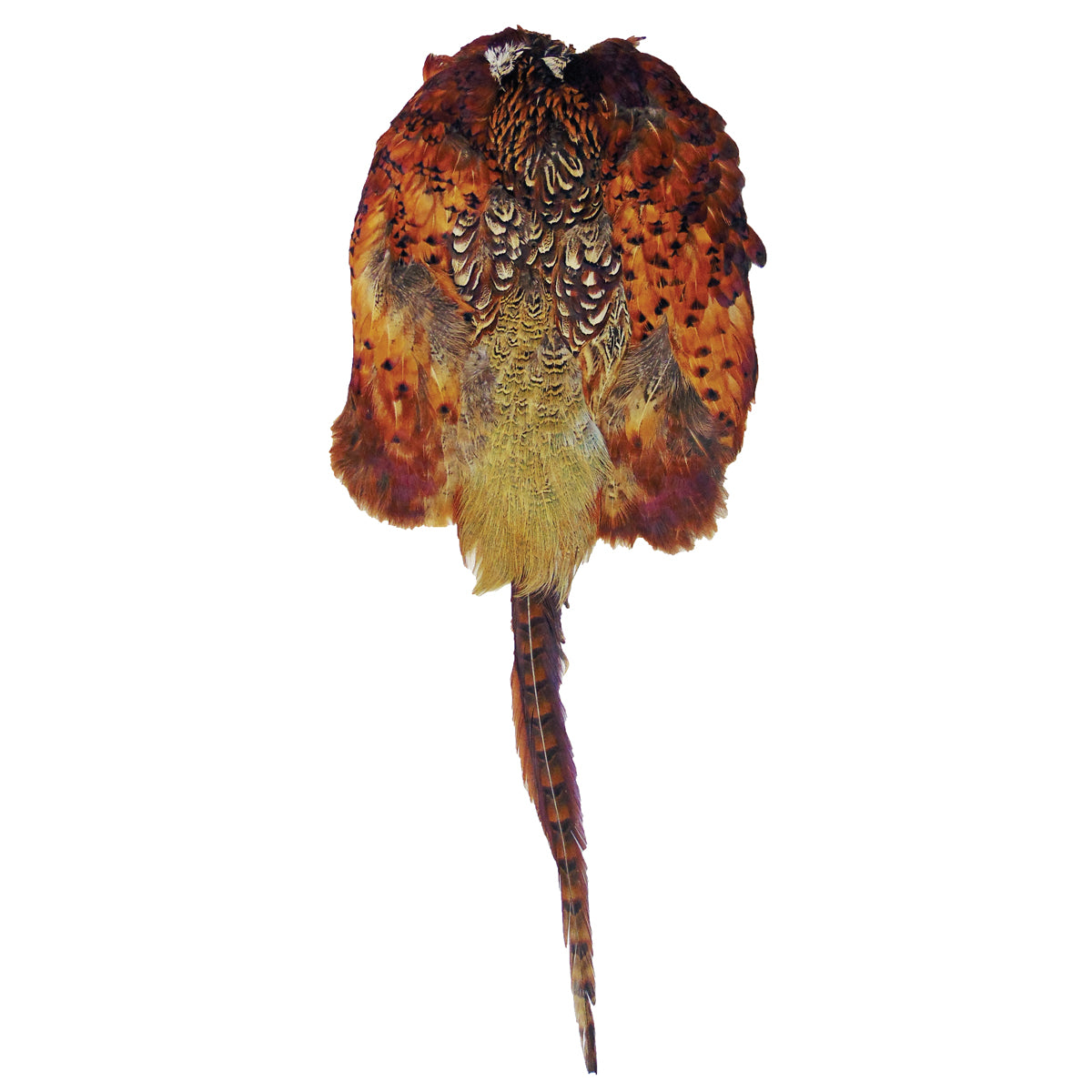 Animal Skin /Pelt Dummy Animal Skin /Pelt Dummy