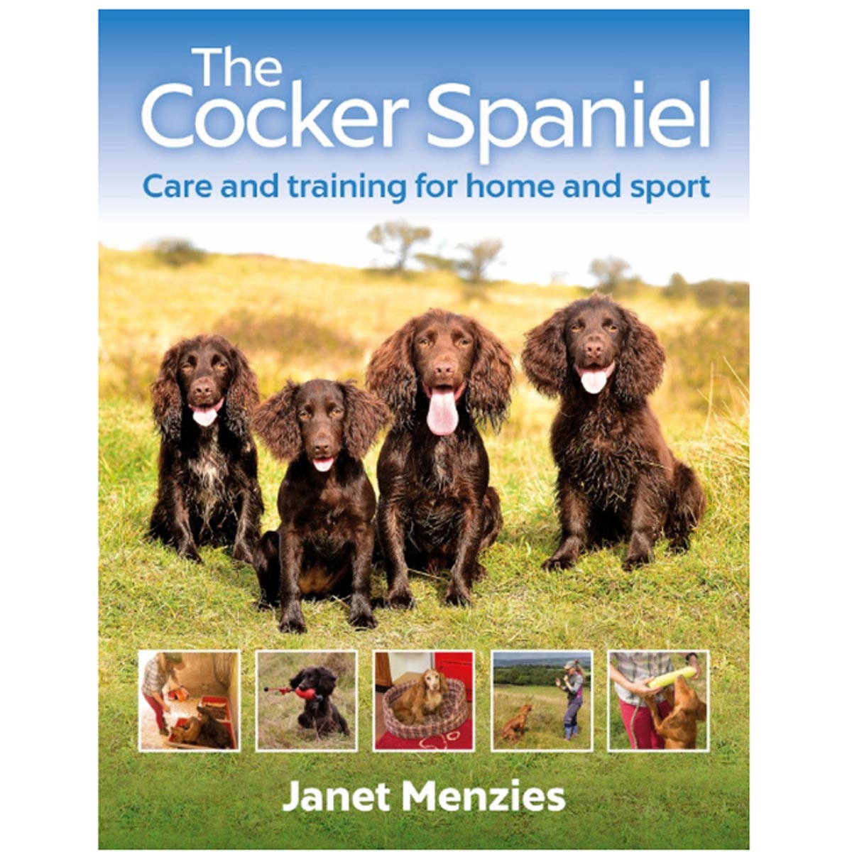 The Cocker Spaniel The Cocker Spaniel
