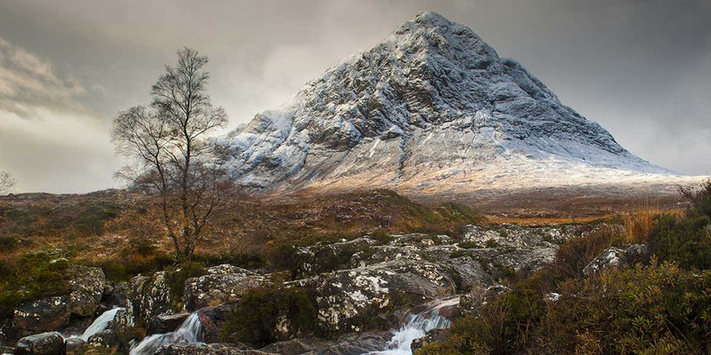 The story of ArdMoor's name