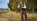 UK Pheasant Shooting Guide: Clothing, Gear & Tips