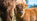 Preparing for Calving Season: Essential Clothing and Equipment for Farmers