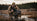 Country Style Trends for 2026: Practical, Timeless & Built for Rural Life