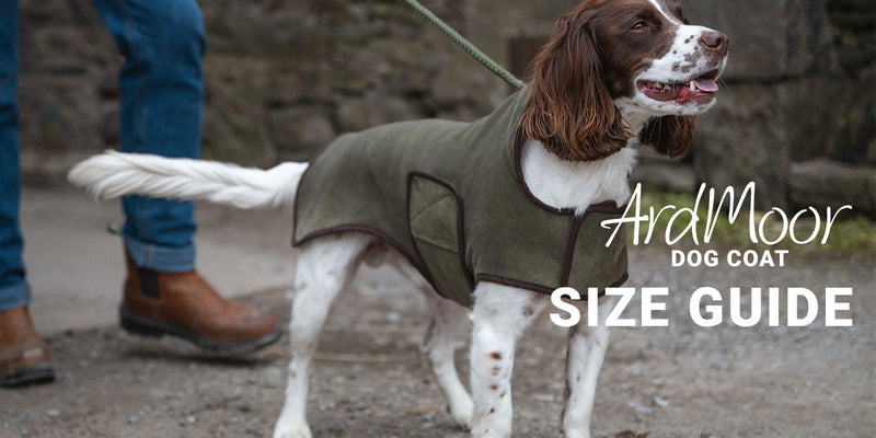 Dog Coat Size Guide