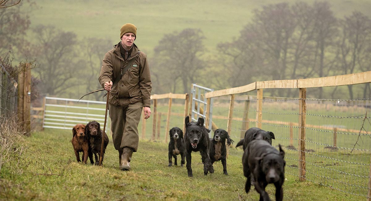 Spring Dog Walking Essentials | ArdMoor