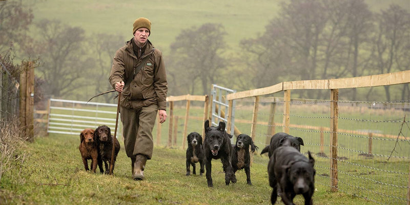 Spring Dog Walking Essentials | ArdMoor