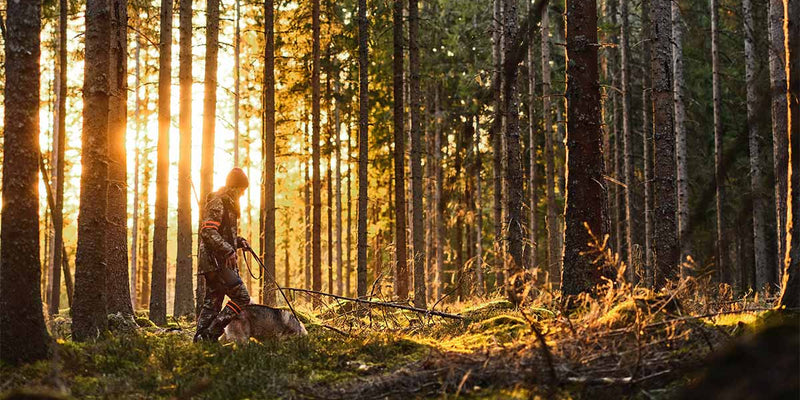 Ethics & Sustainability in Outdoor Gear - What Matters in 2026