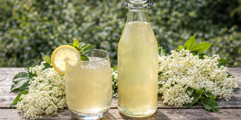 Elderflower Cordial | Summer Garden Drink | ArdMoor
