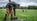 Essential Shooting Safety Tips