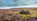 Glorious Twelfth: Kitting Out for the Moor