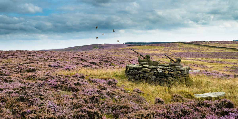 Grouse moor shooting jacket in heather