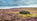 Understanding Grouse Moors