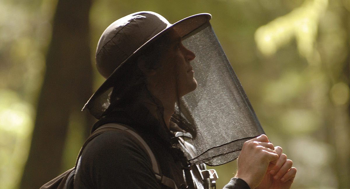 How to keep midges away this summer with midge nets and midge repellent