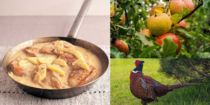 Highland Pheasant with Apples