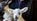 Lambing Clothing - Farm Review