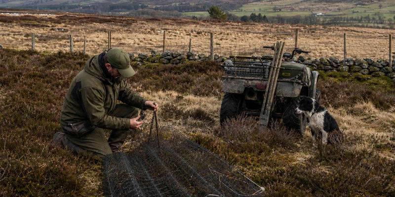 Spring Land Management: What Happens Behind the Scenes | Gamekeeping and Farming | ArdMoor