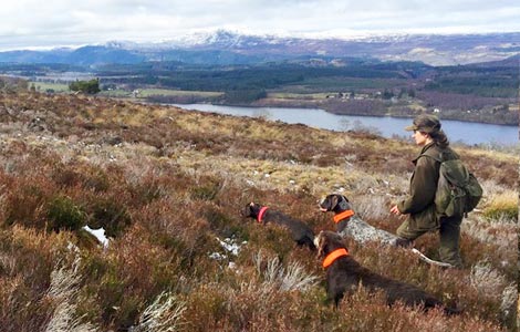 Luise Counting Grouse