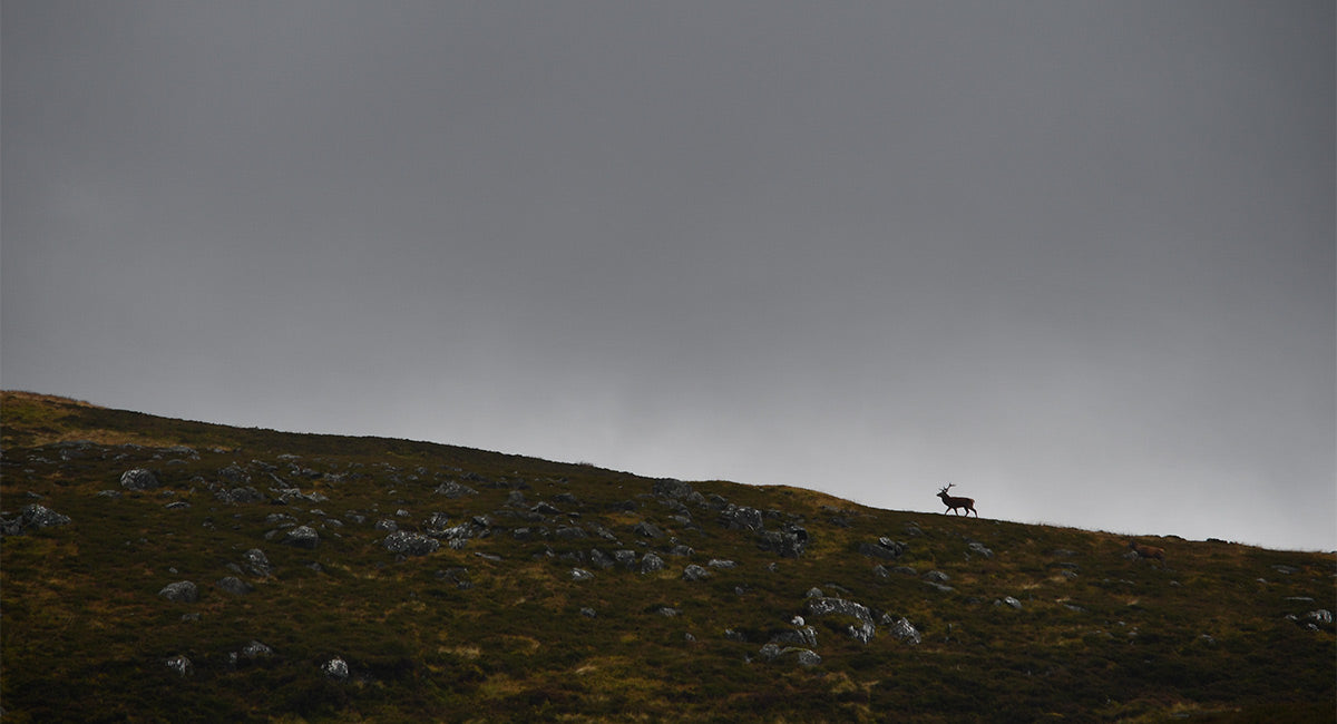  The Best Photography Jackets for Outdoor Adventures