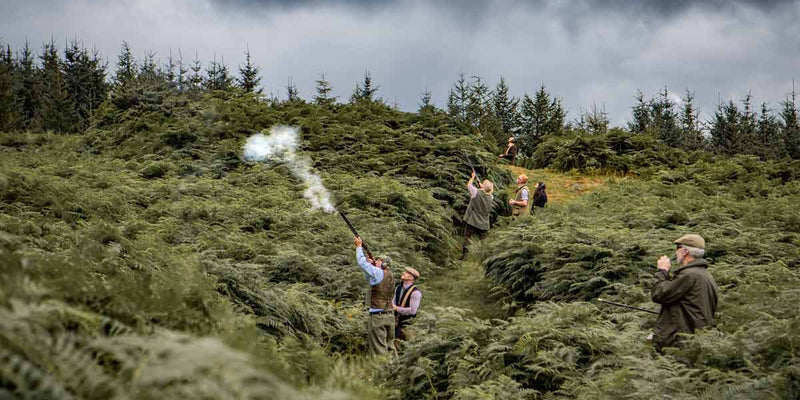 Semi-Driven Shooting Buyers Guide | ArdMoor
