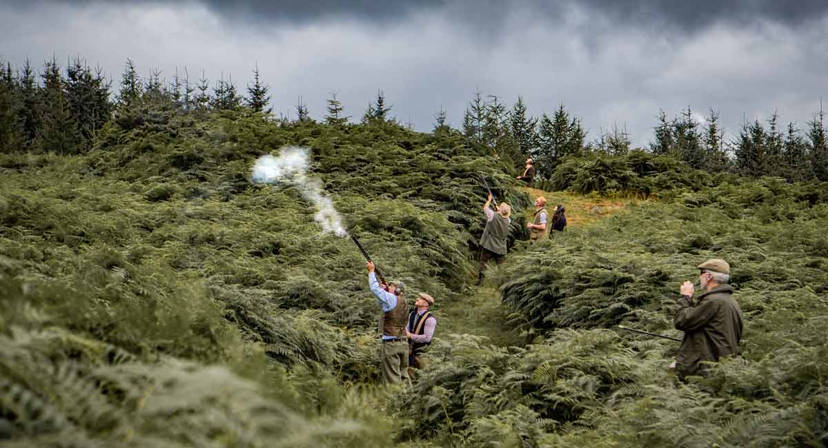 Semi-Driven Shooting Buyers Guide | ArdMoor